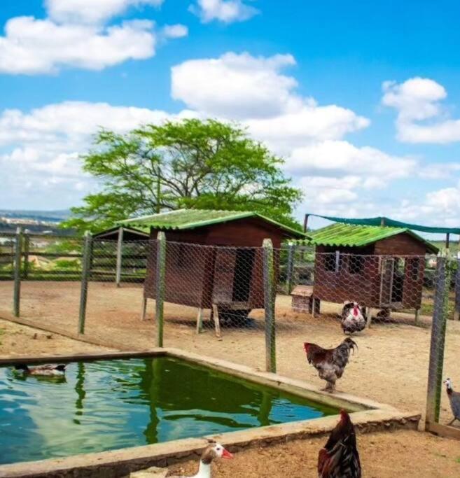 贝泽罗斯Flat Fazenda Monte Castelo公寓 外观 照片